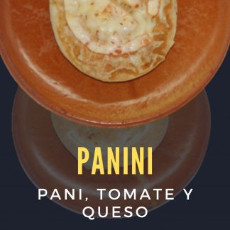 PANINI